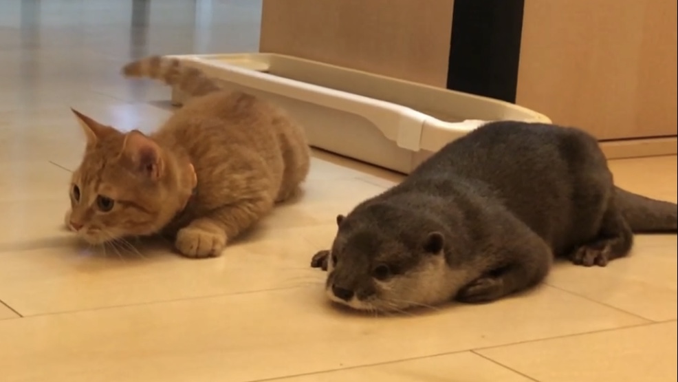 ブランド名 さん