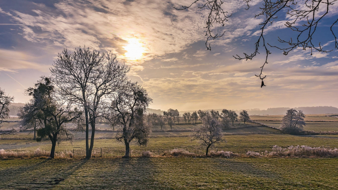 cramschool_name_test_1　川崎京町教室TEST